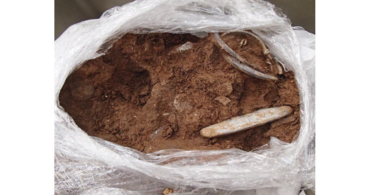 watlington-hoard-as-received
